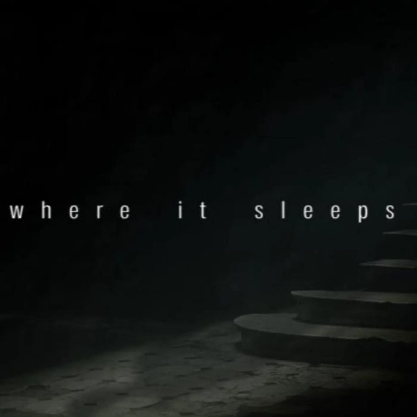 Where It Sleeps