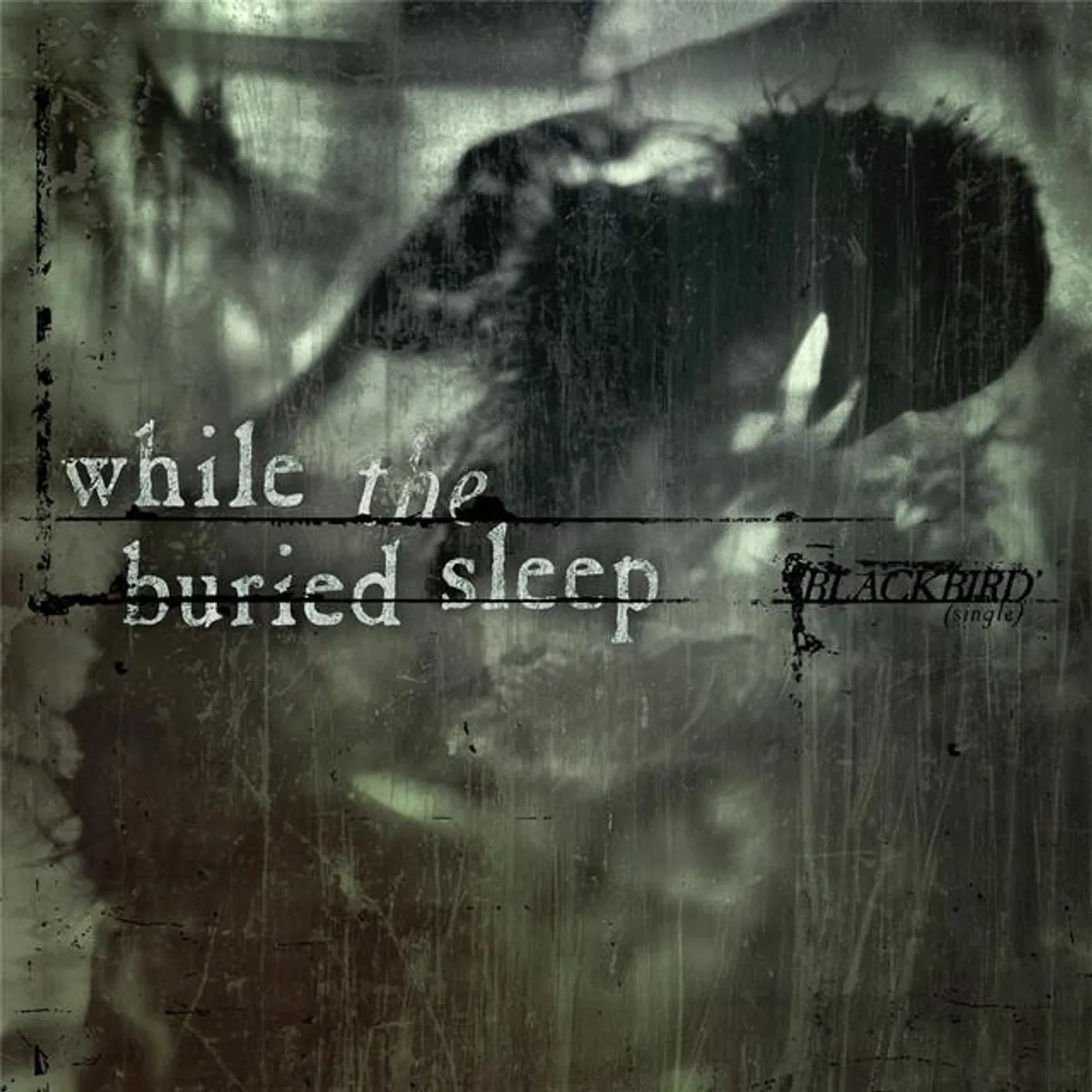 While the Buried Sleep Brand Page