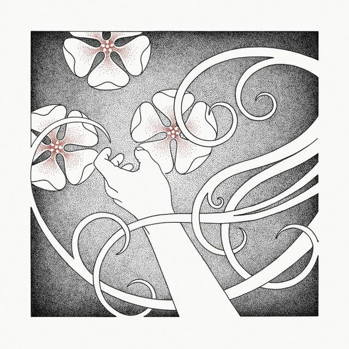 Whispering Void Brand Page