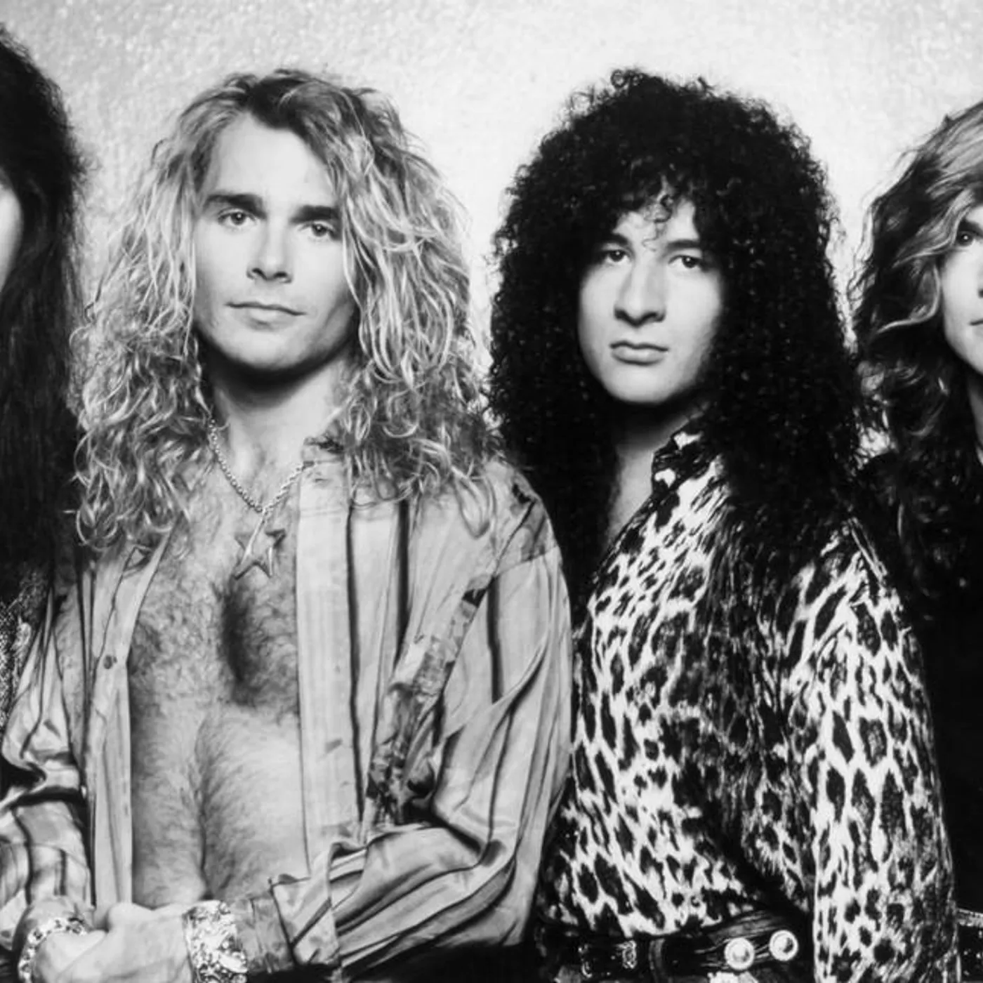 White Lion Brand Page
