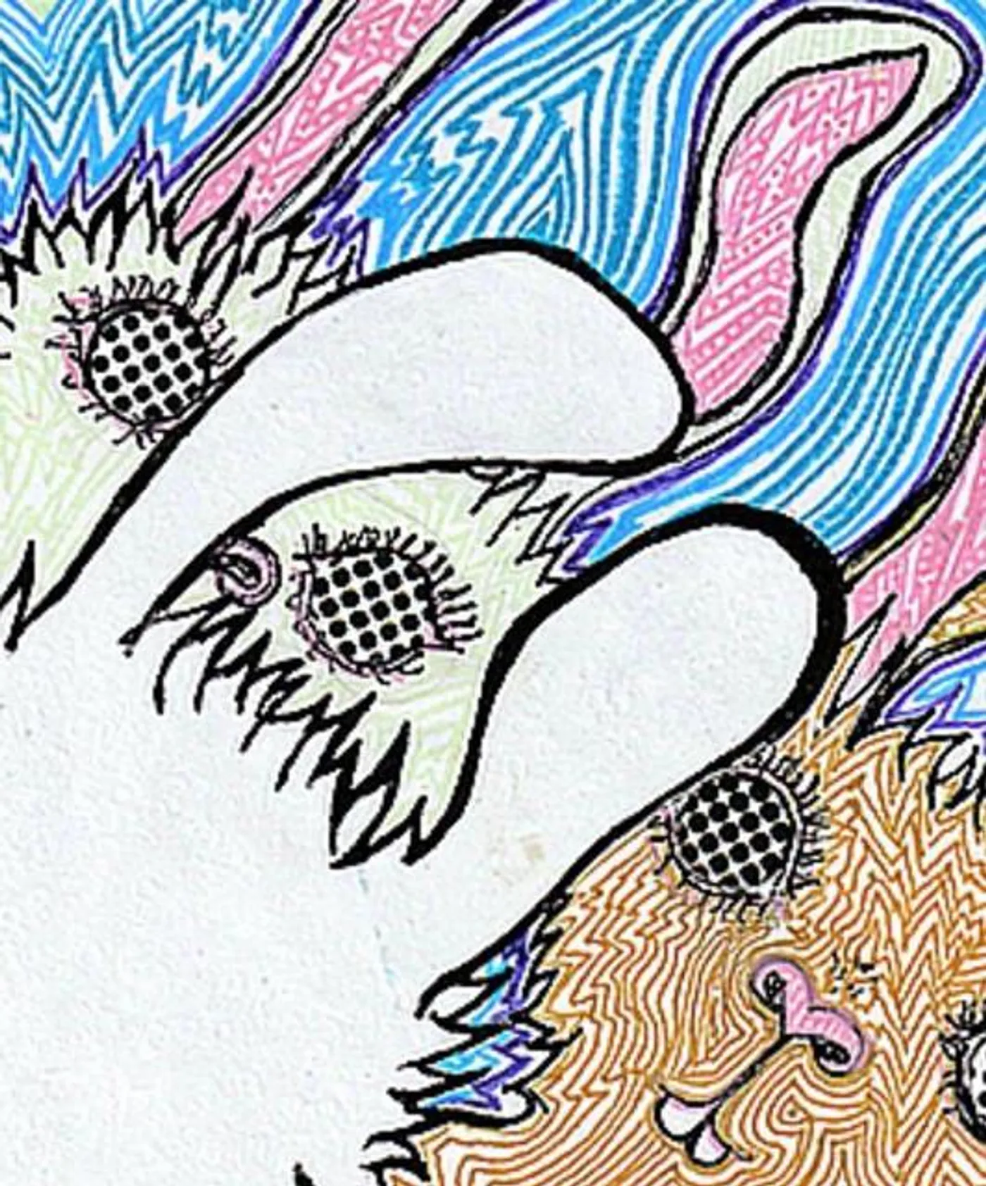 White Rabbit