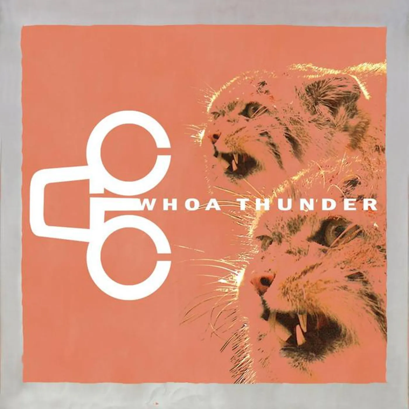 Whoa Thunder