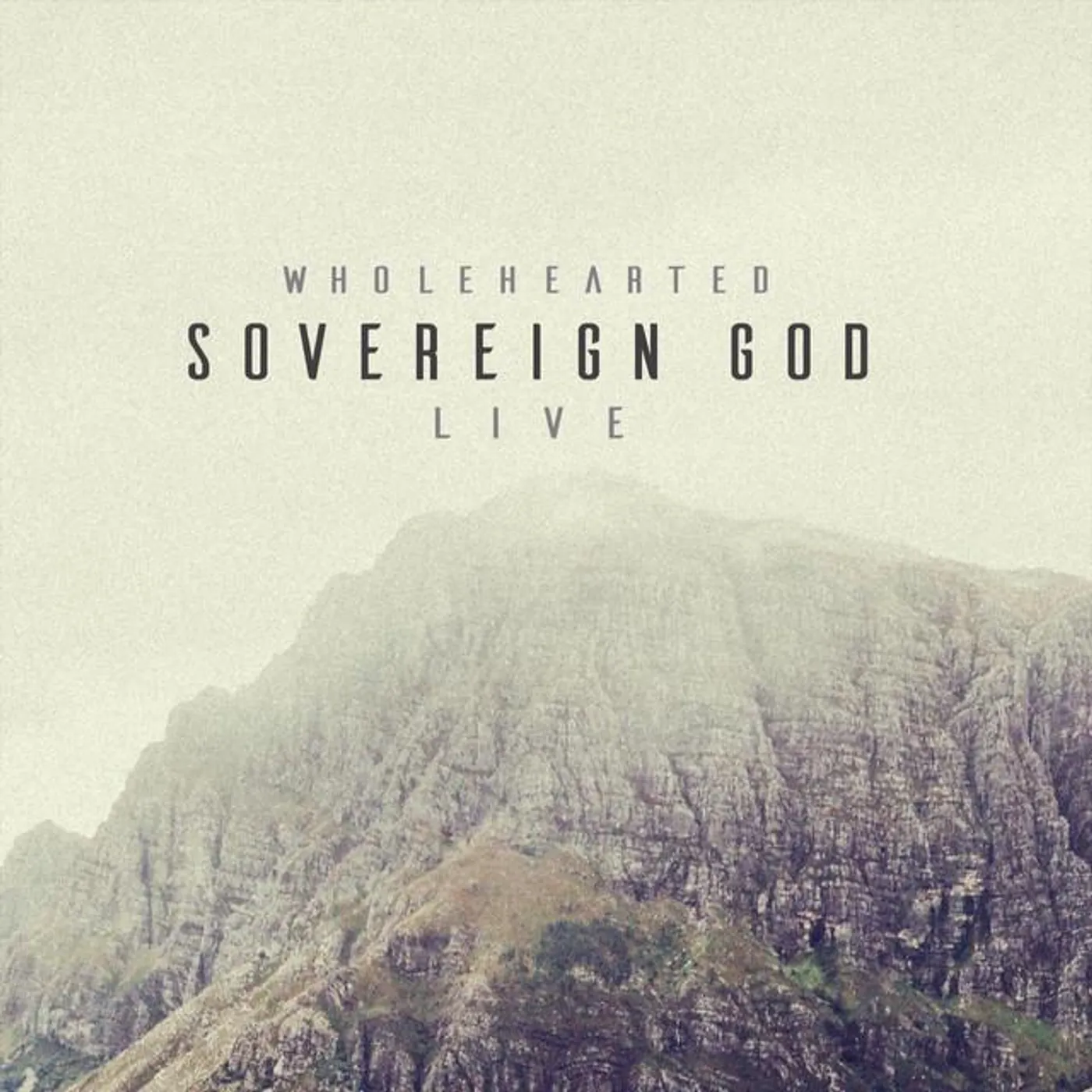 Wholehearted Brand Page