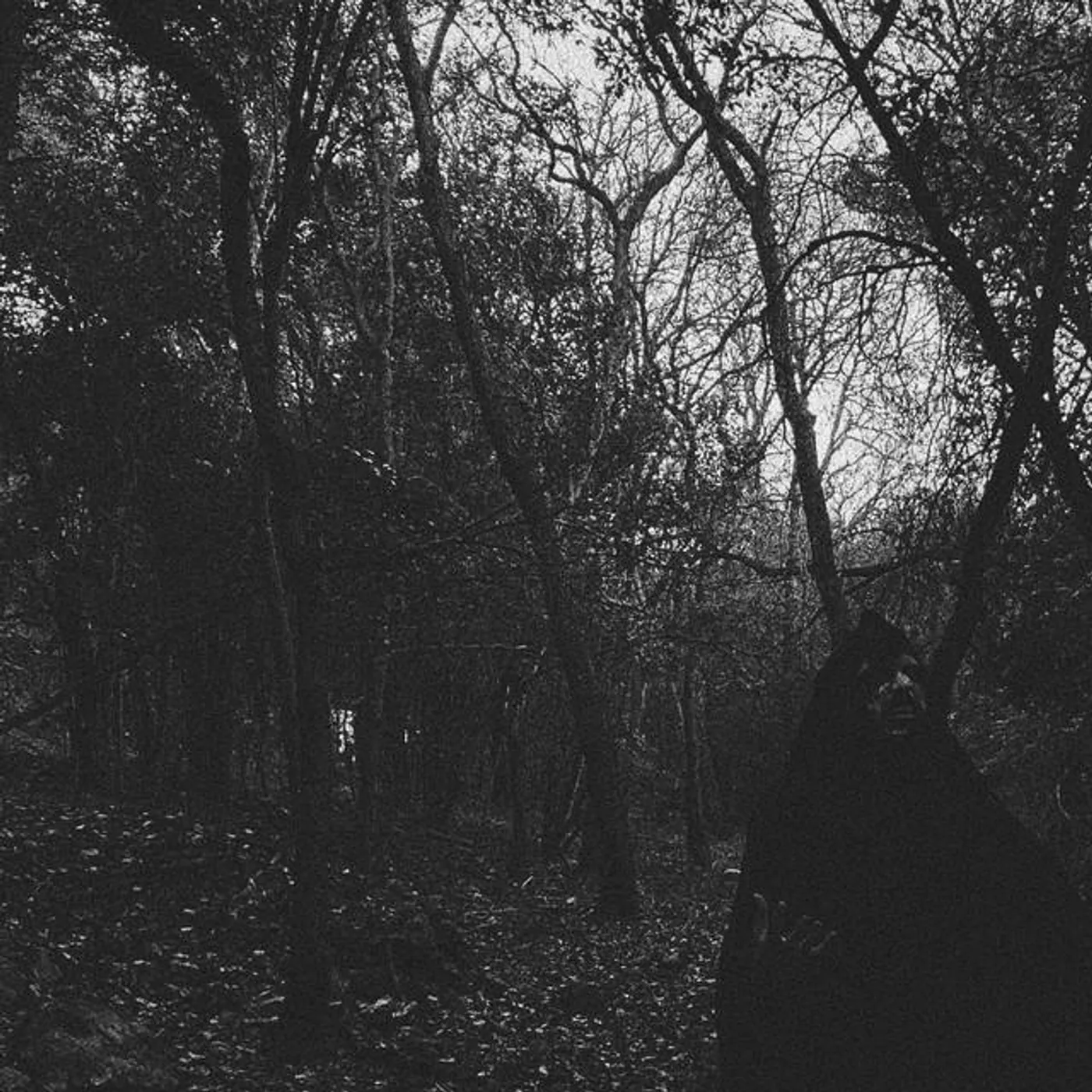 Within Thy Wounds