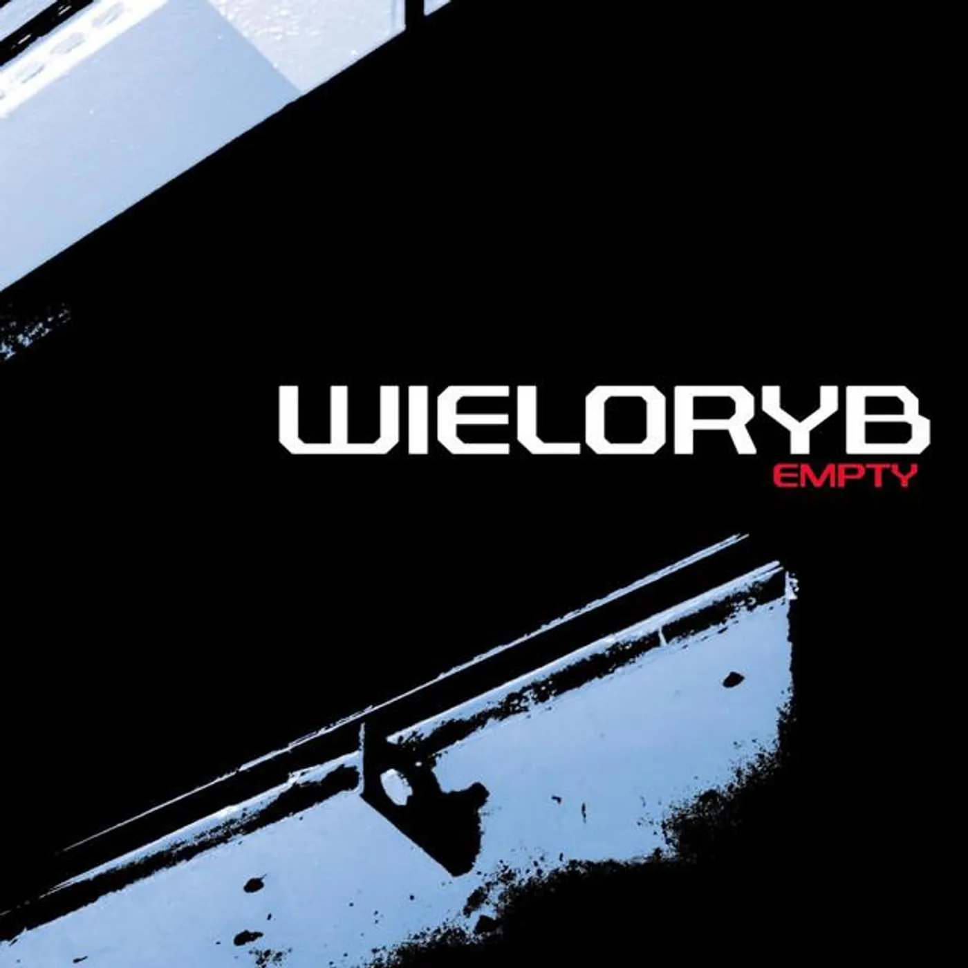 Wieloryb