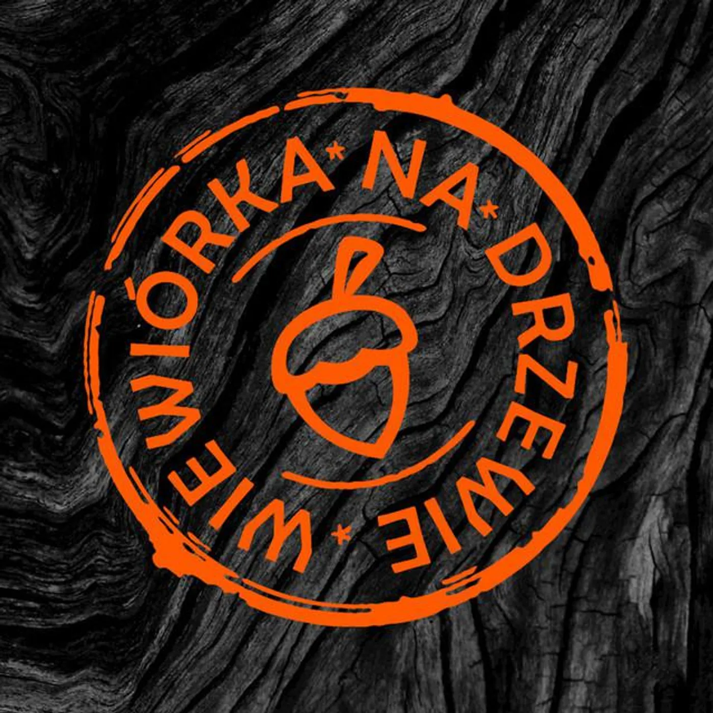 Wiewiórka na Drzewie Brand Page