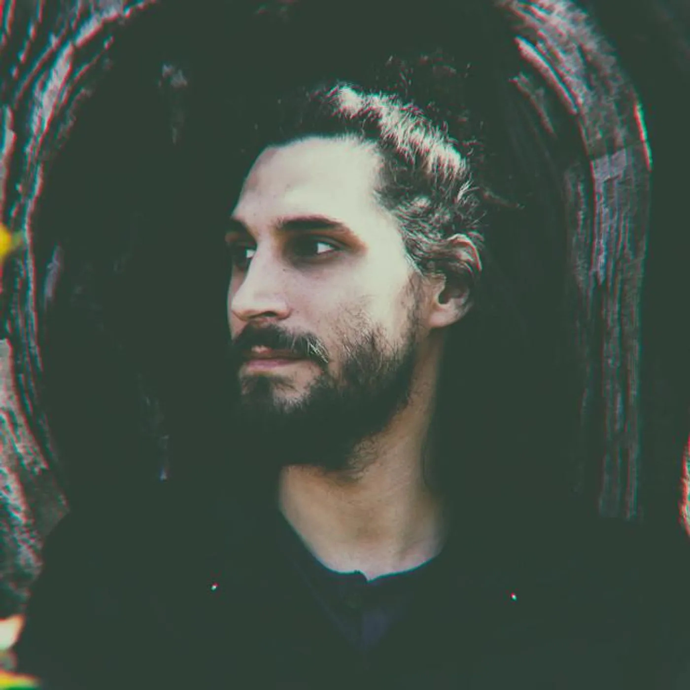 Wild Eye