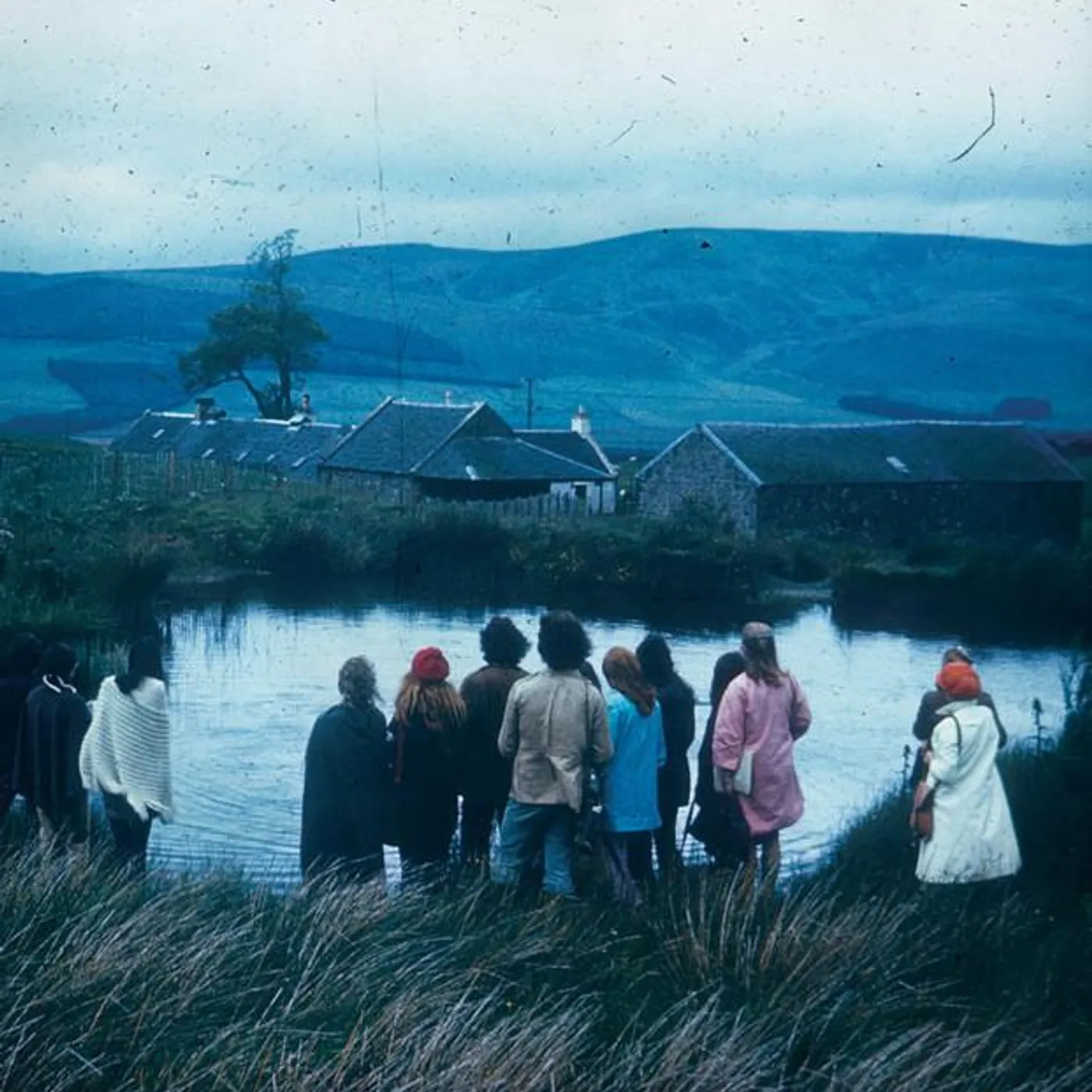 Wild Firth