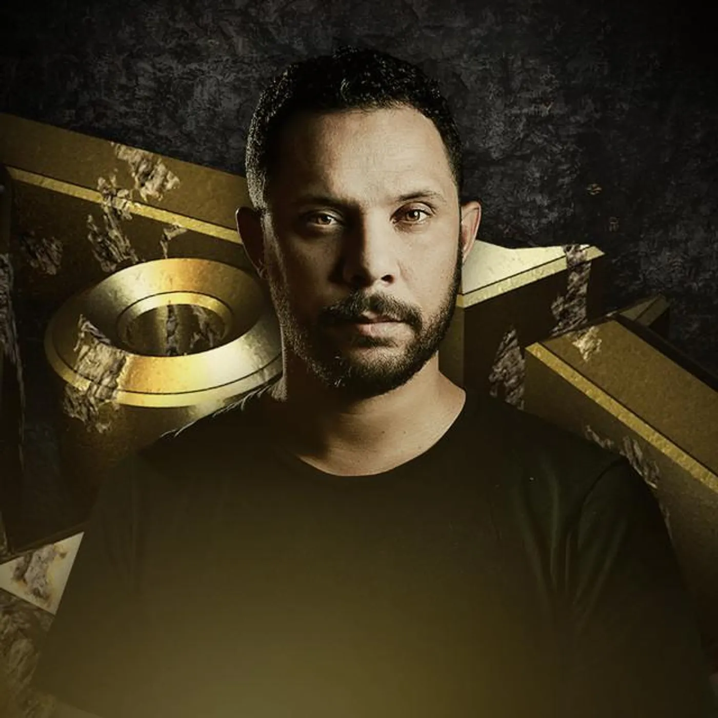 Wildstylez Brand Page