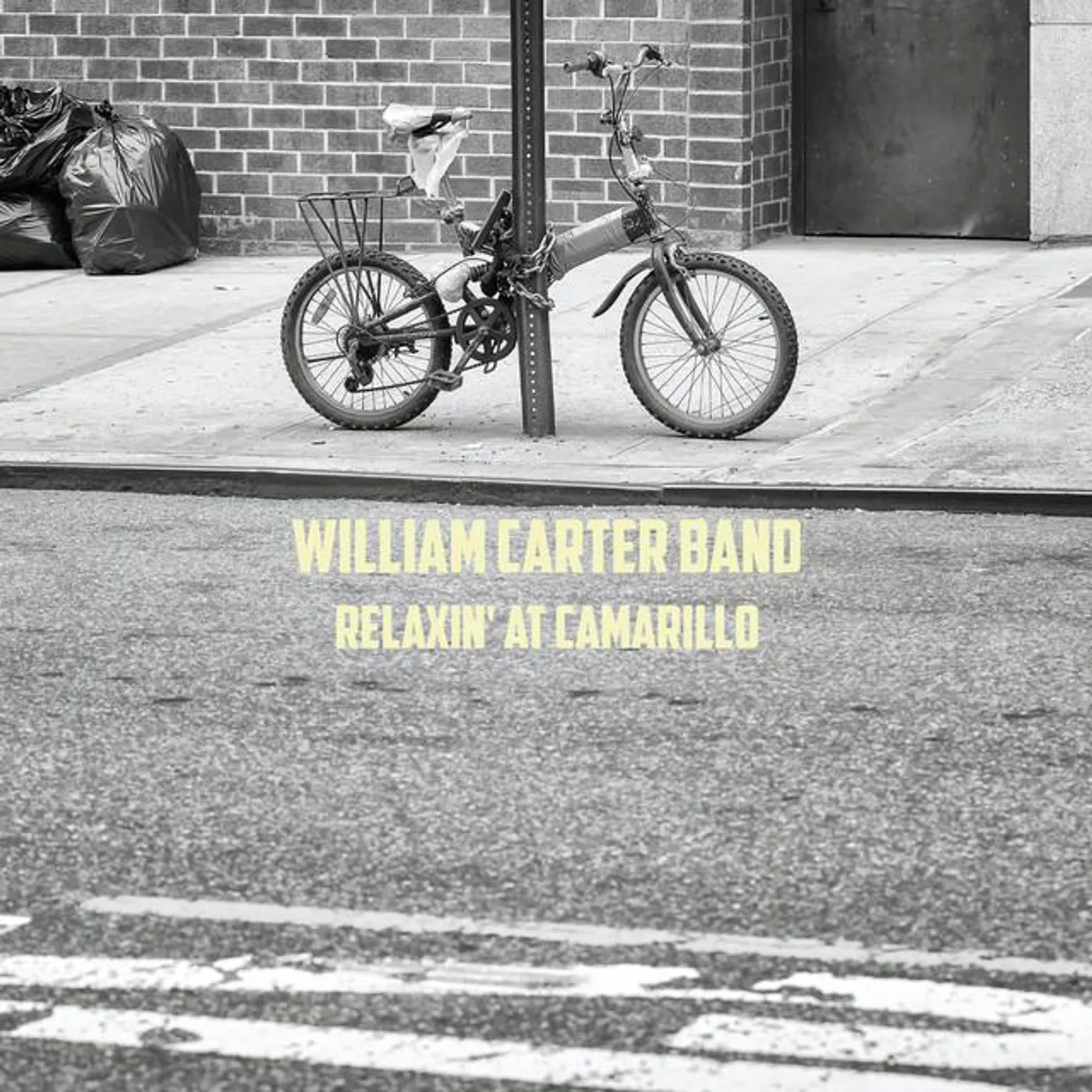 William Carter Band