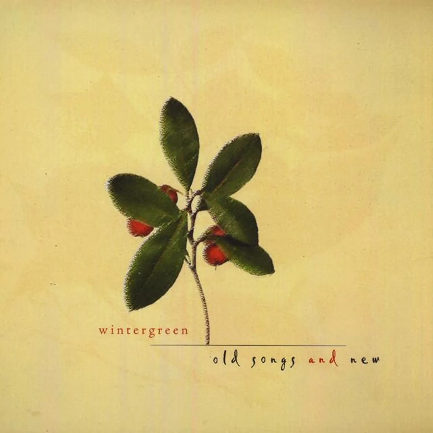 Wintergreen