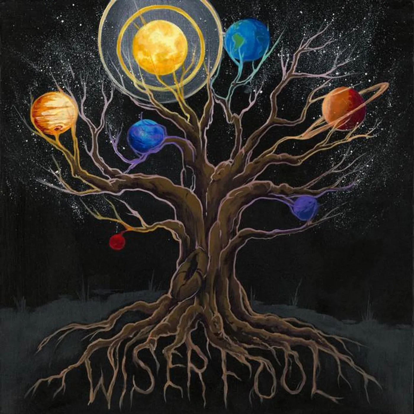 Wiser Fool