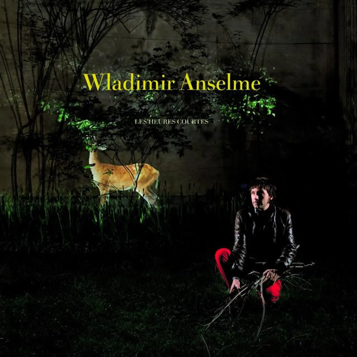 Wladimir Anselme Brand Page