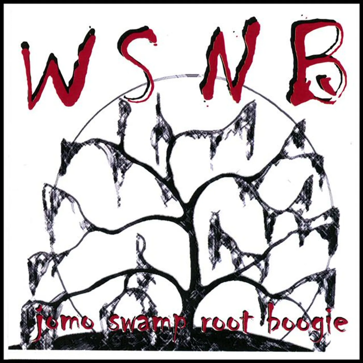 WSNB