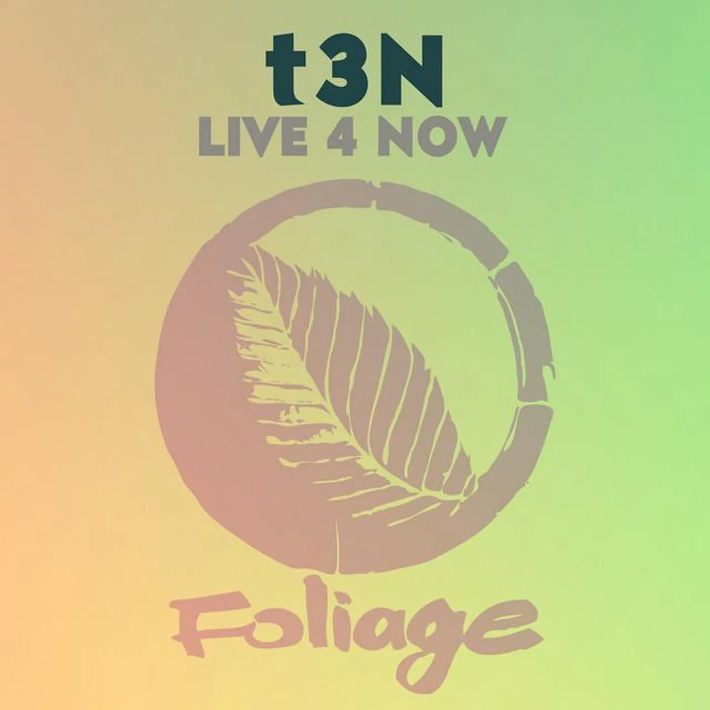 t3N