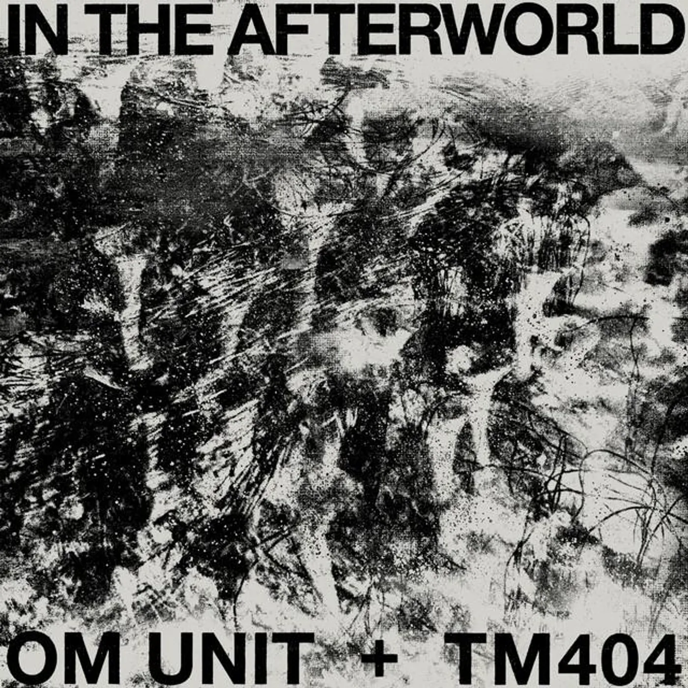TM404