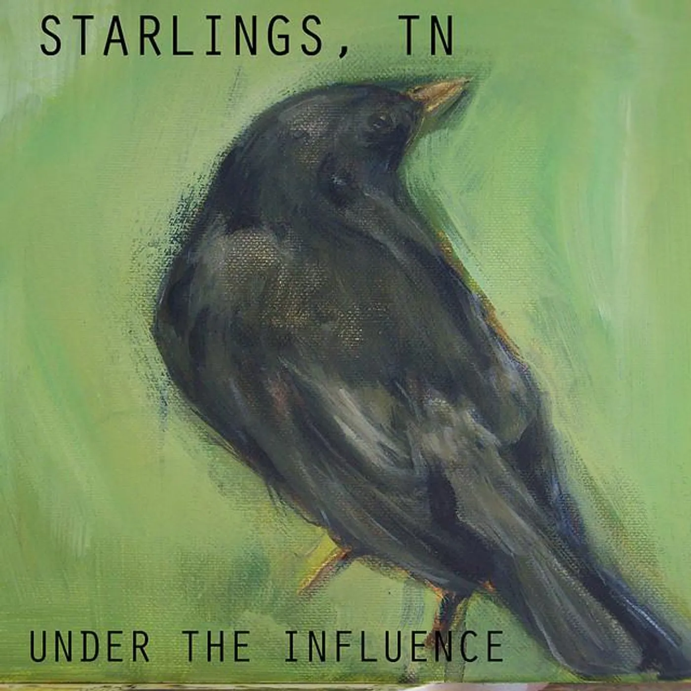 Starlings, TN
