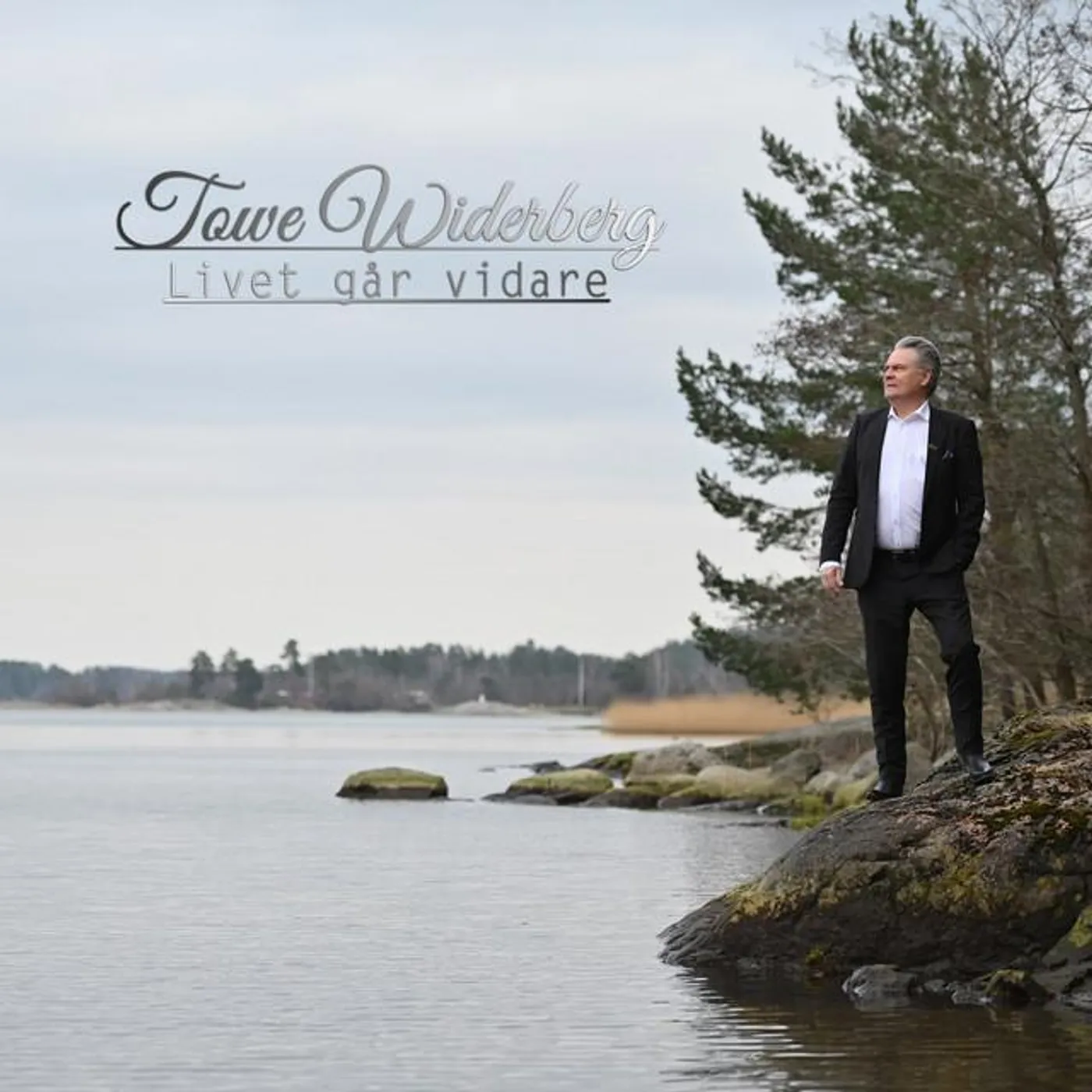 Towe Widerberg