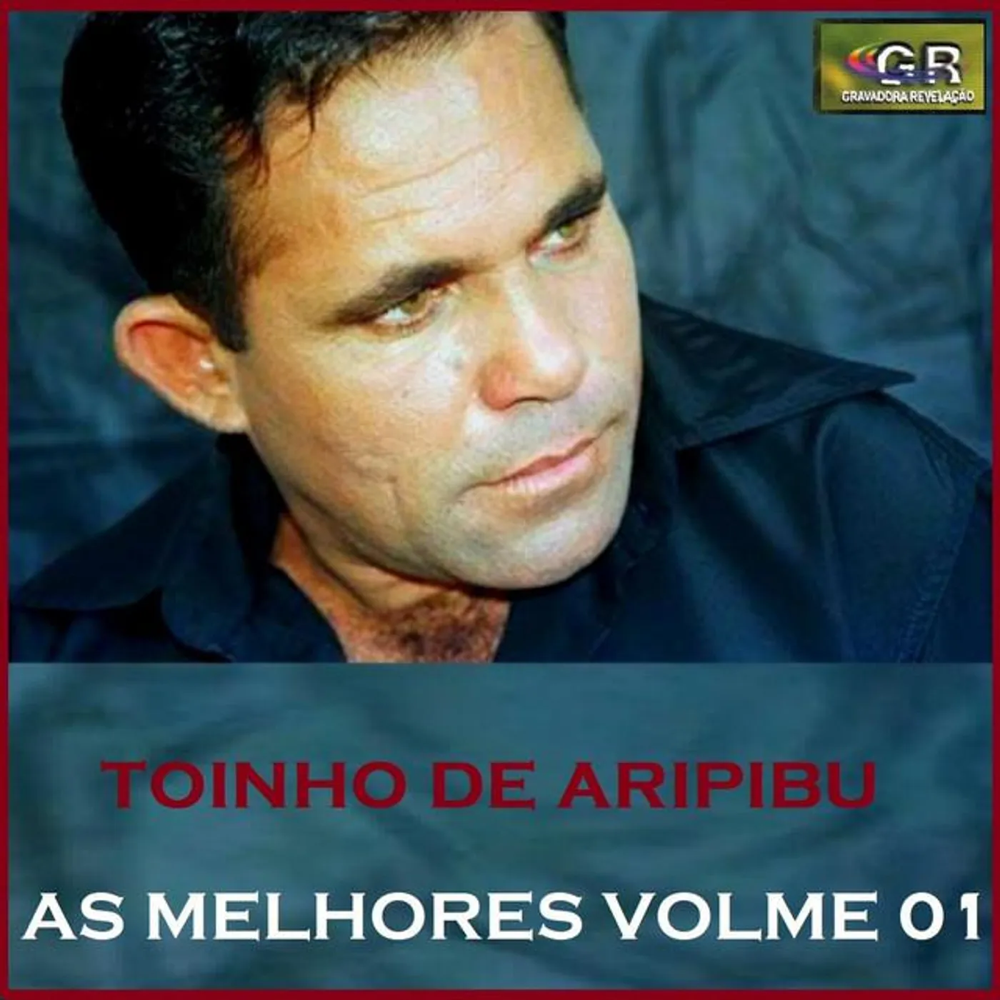 Toinho de Aripibu Brand Page
