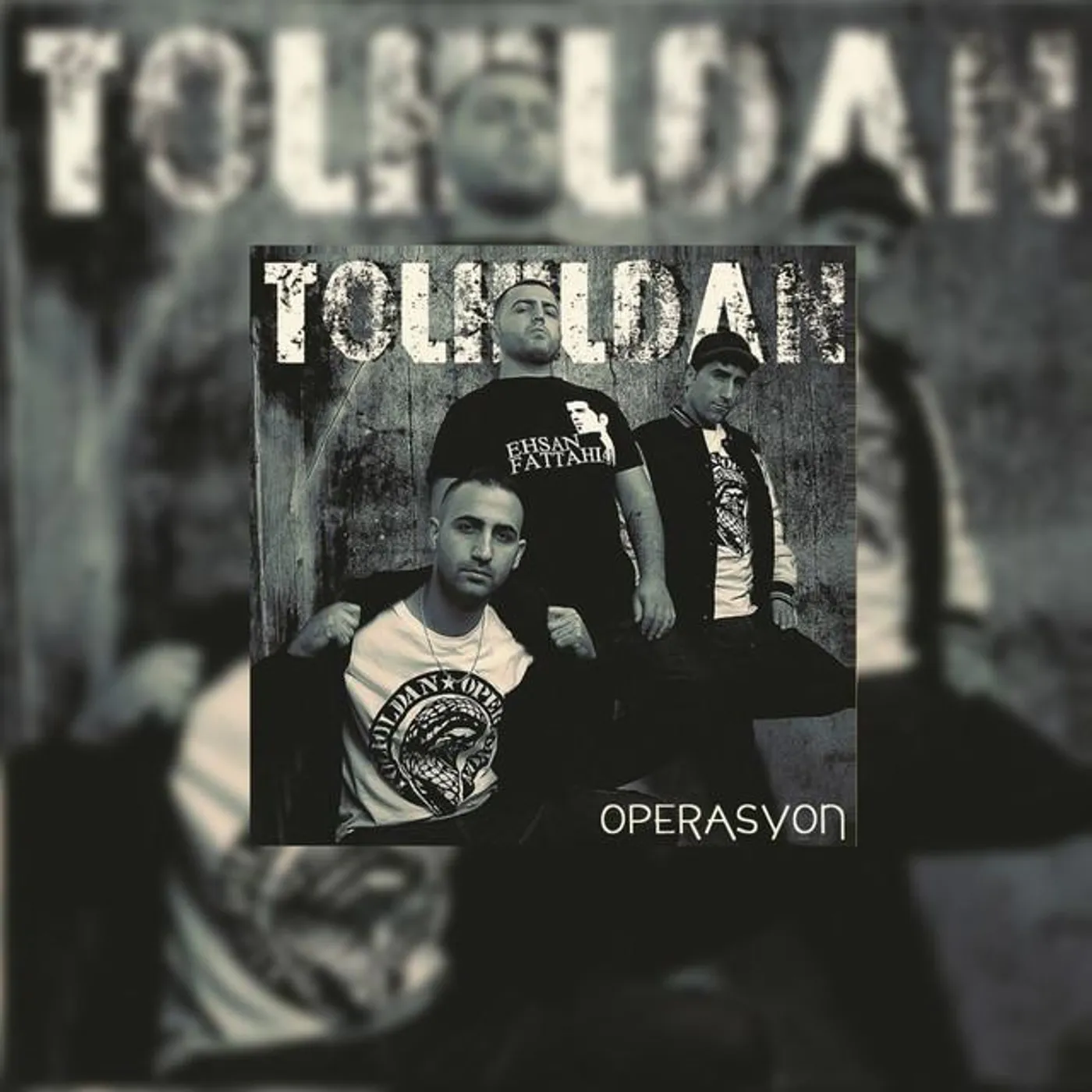 Tolhildan