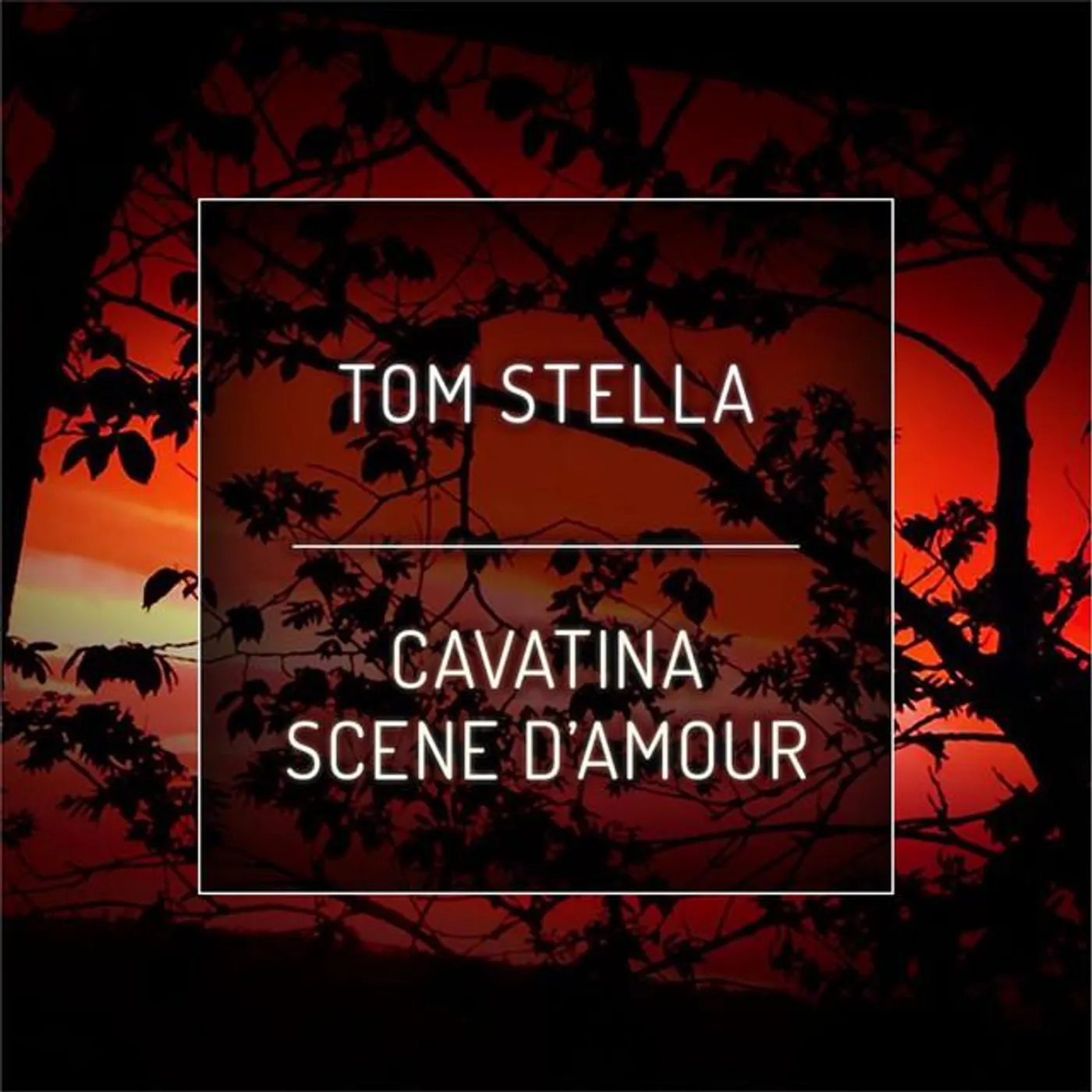 Tom Stella Brand Page