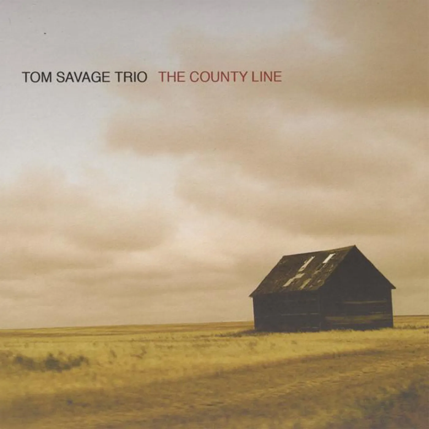 Tom Savage Trio Brand Page
