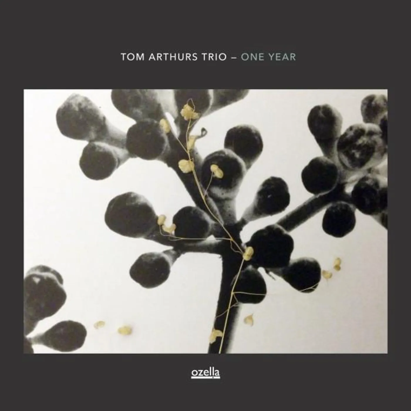 Tom Arthurs Trio