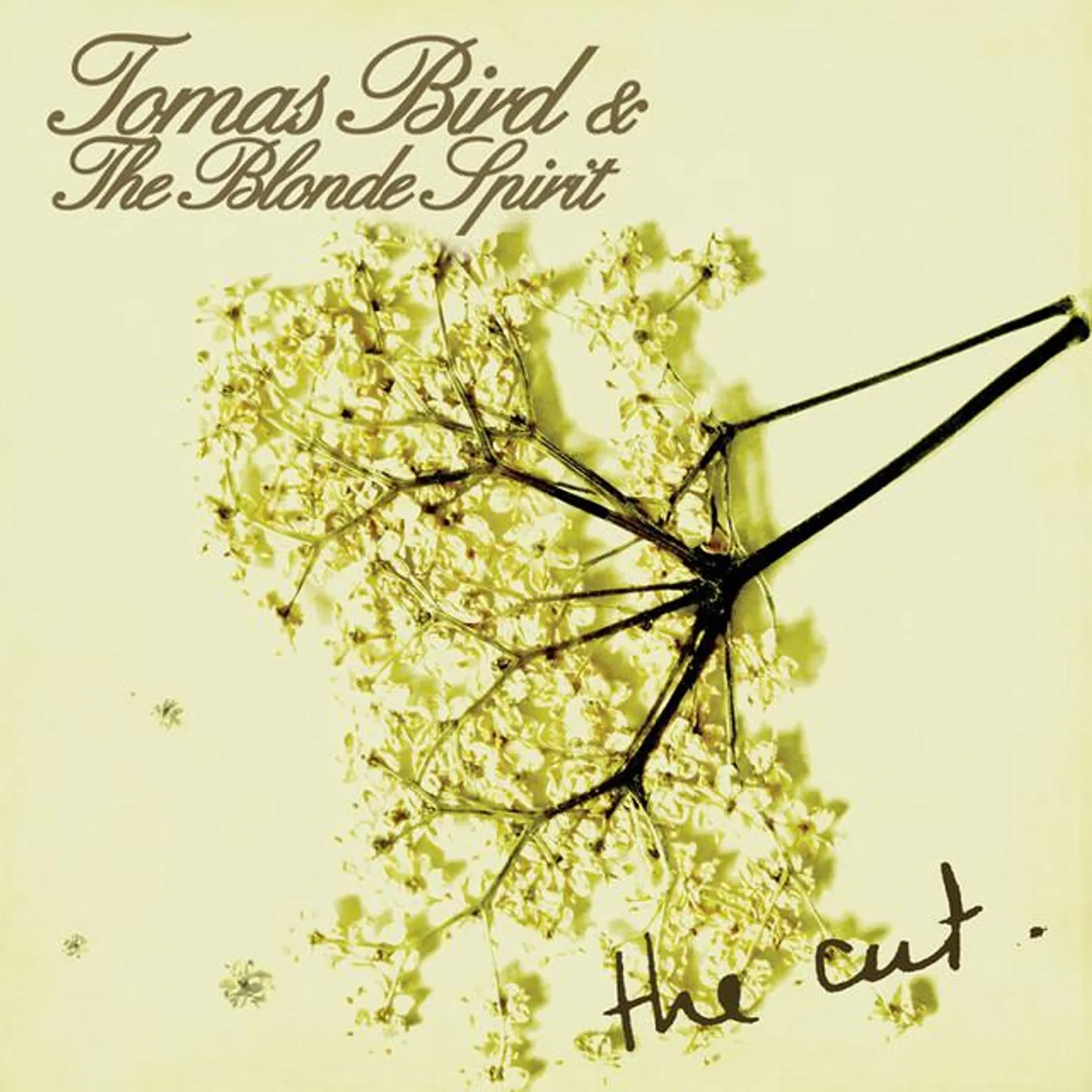 Tomas Bird & The Blonde Spirit