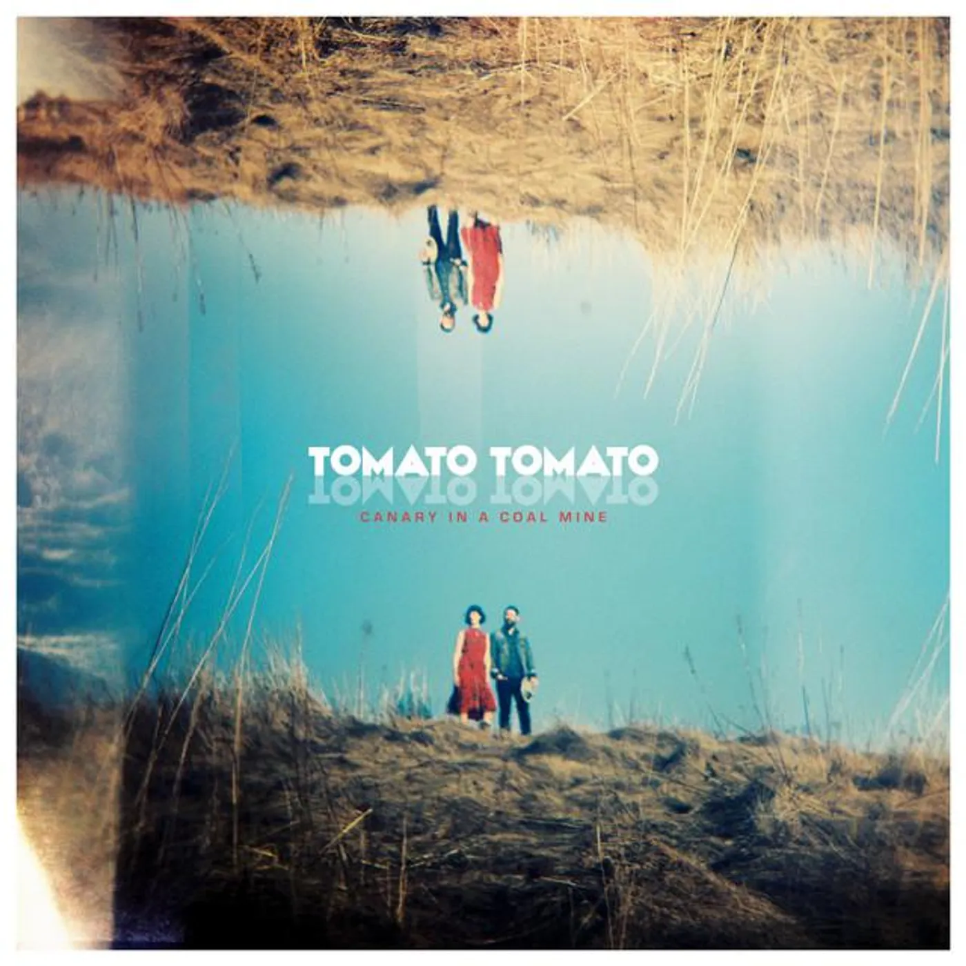 Tomato / Tomato Brand Page