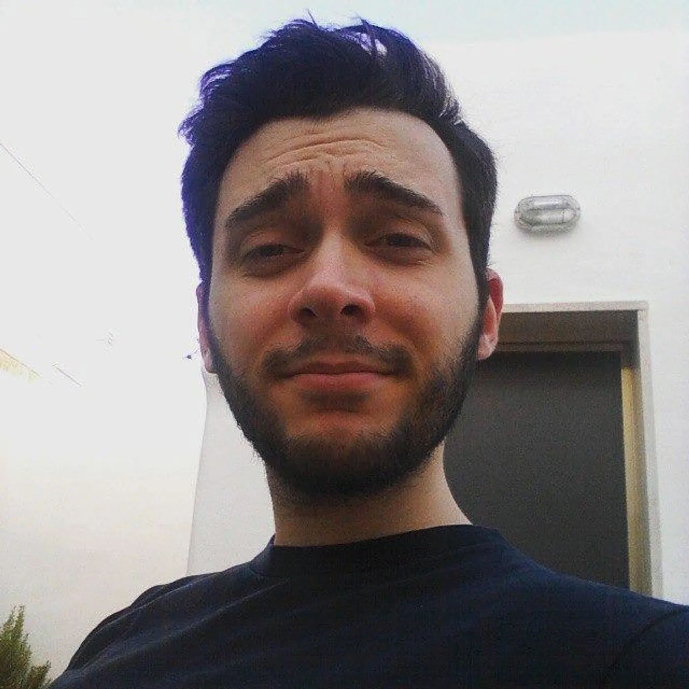 Tone de Palma