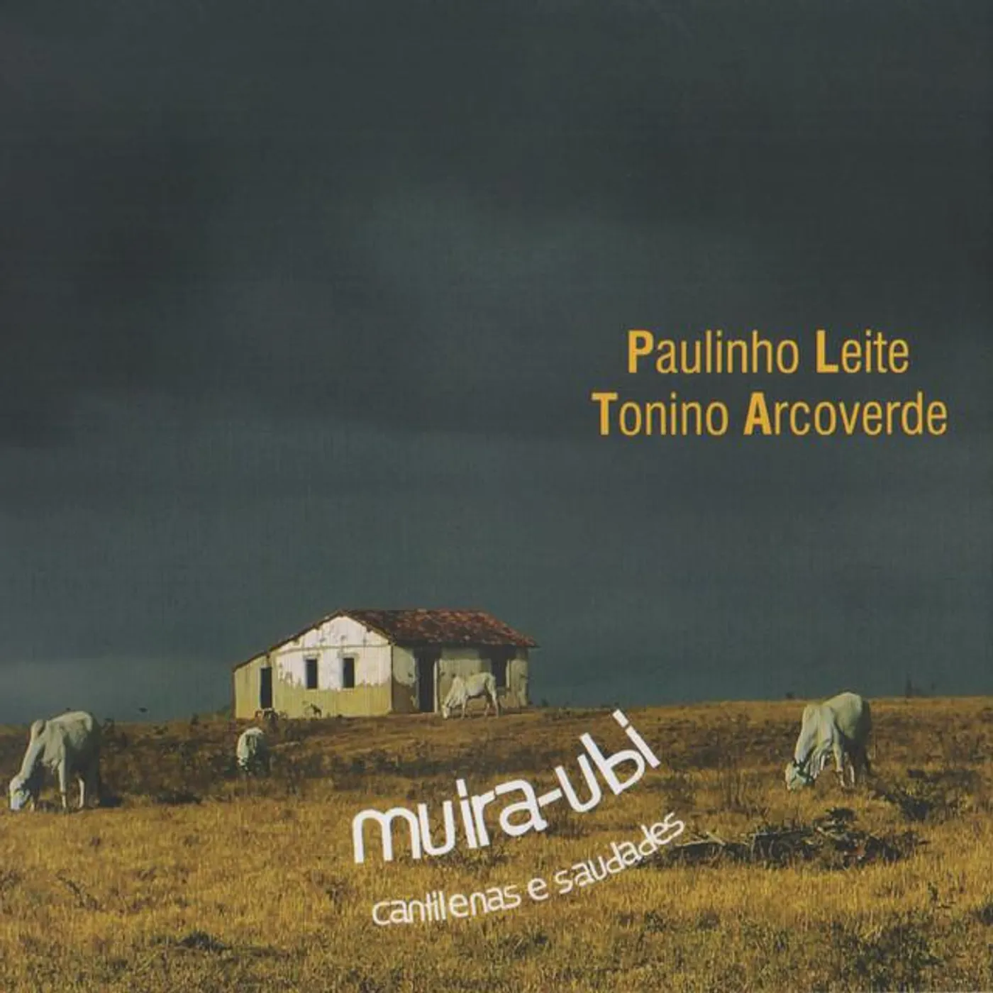Tonino Arcoverde Brand Page