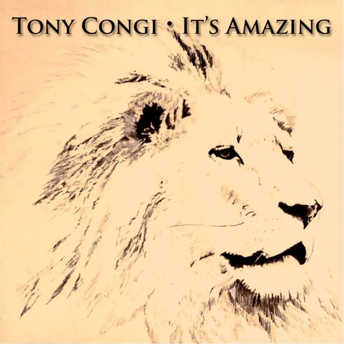 Tony Congi Brand Page