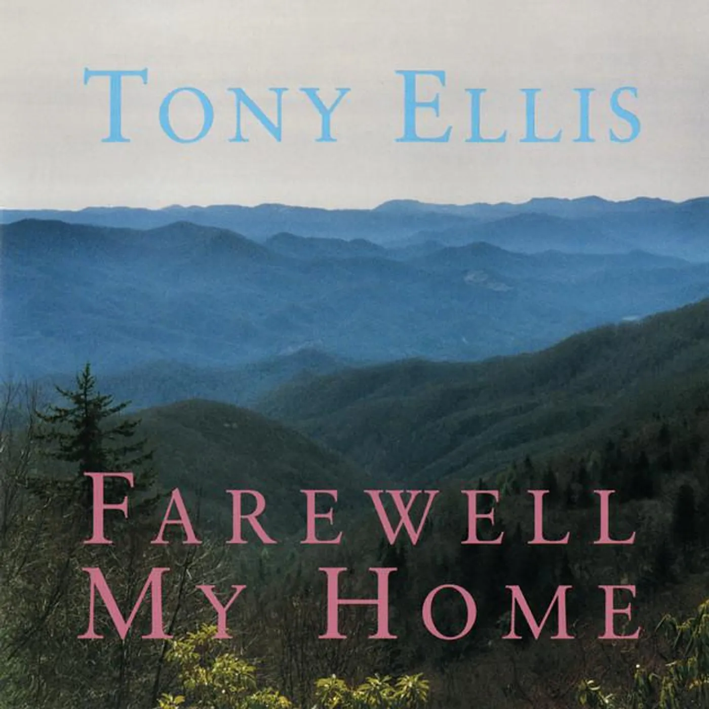 Tony Ellis Brand Page