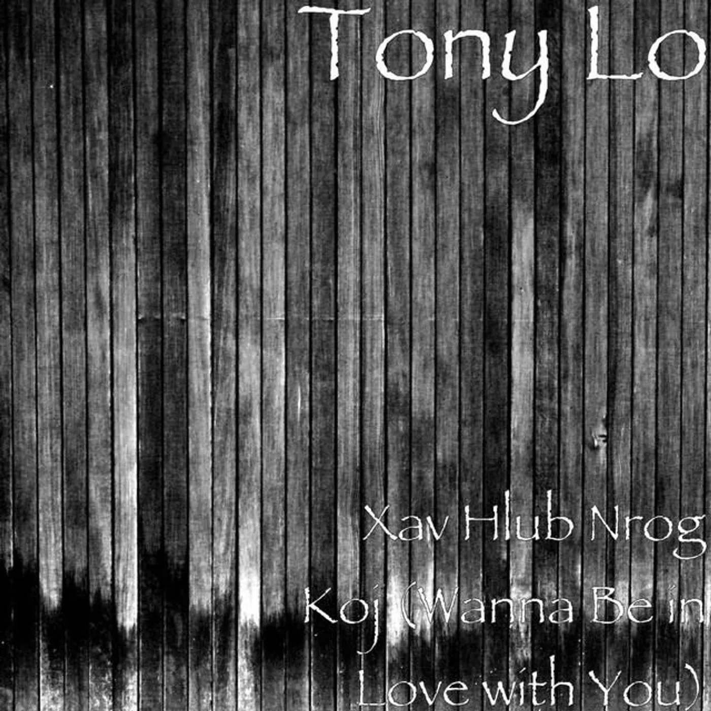Tony Lo