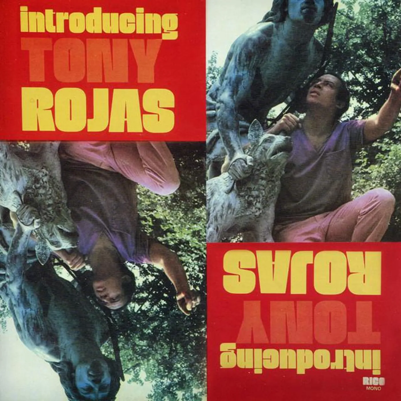 Tony Rojas