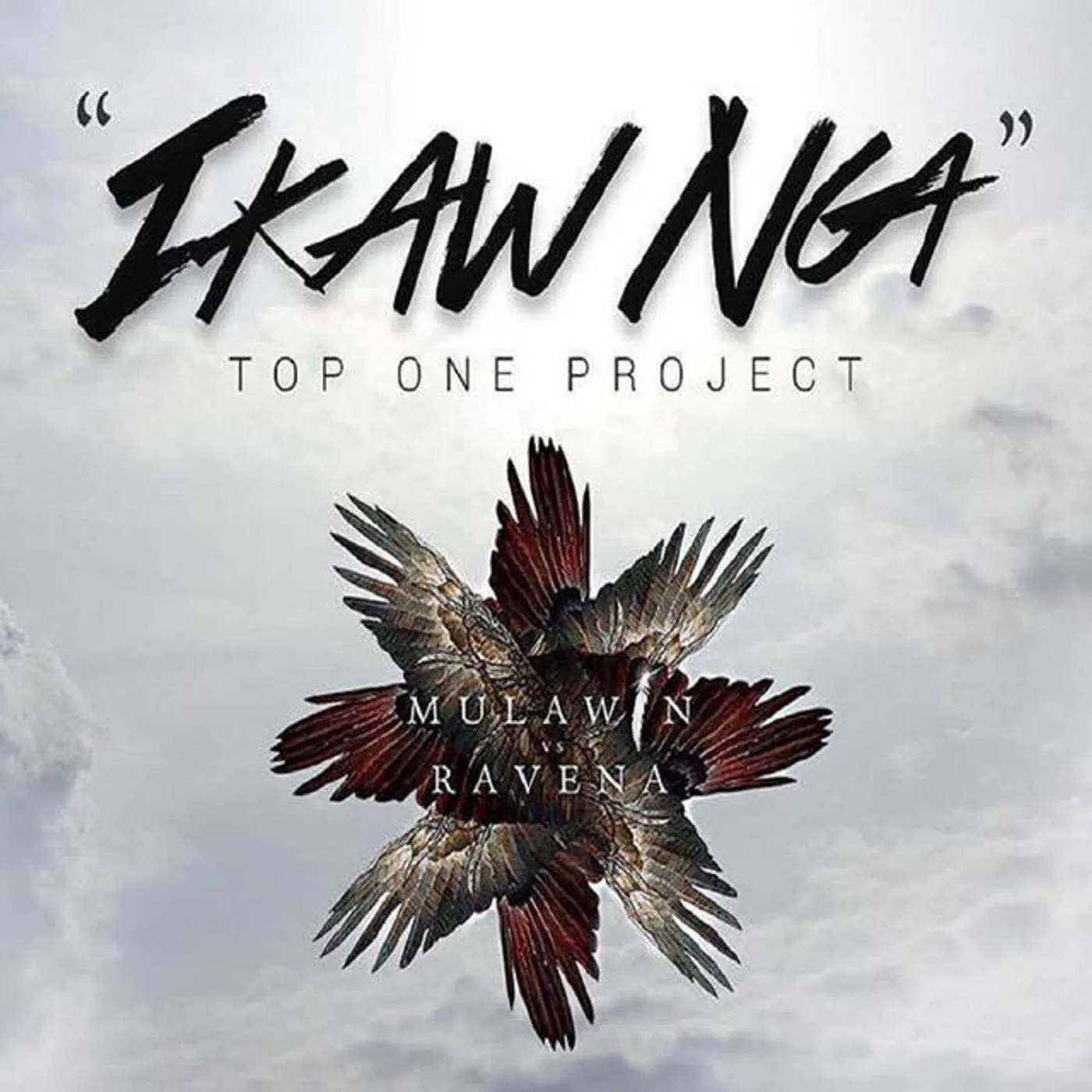 Top One Project