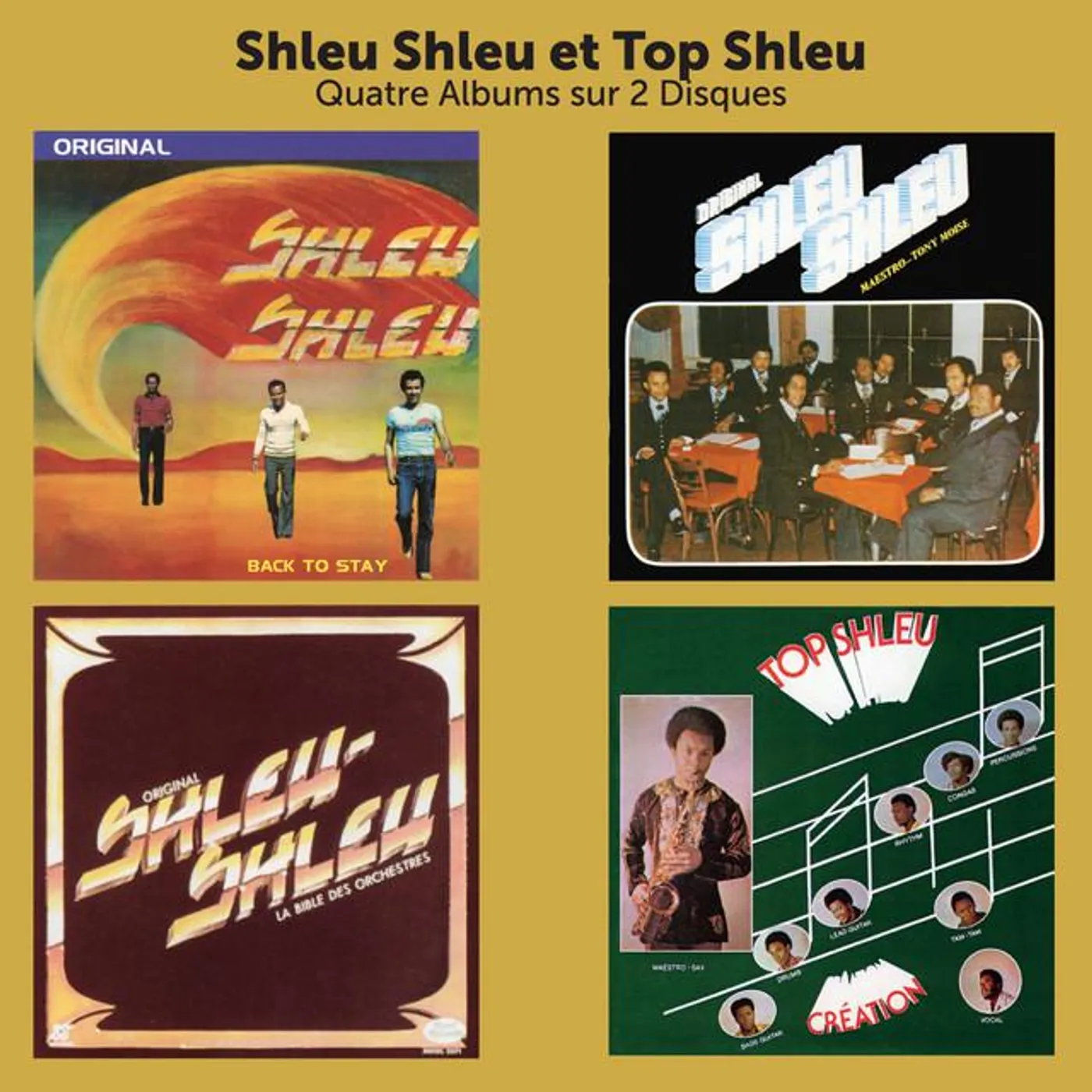 Top Shleu Brand Page