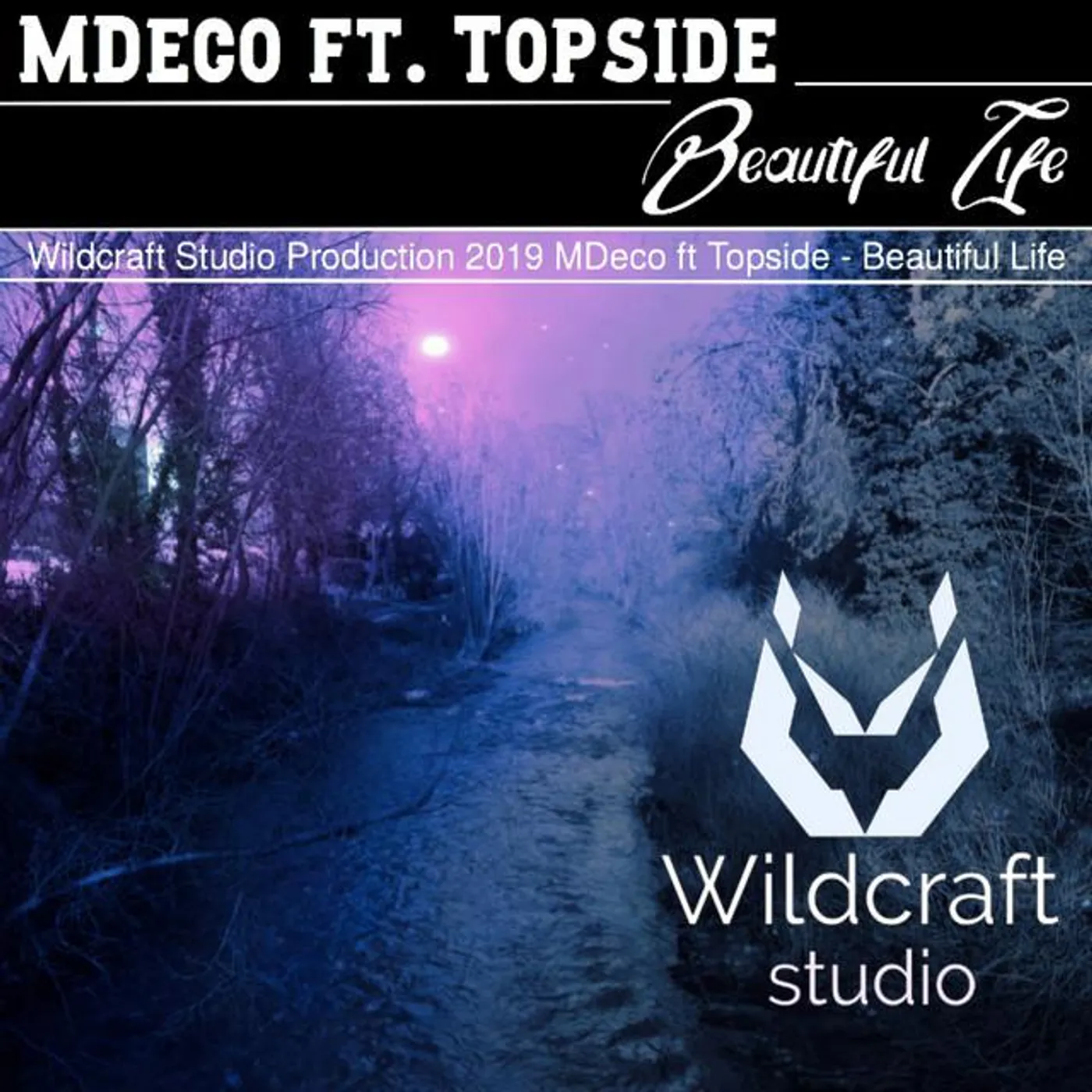 Topside Brand Page