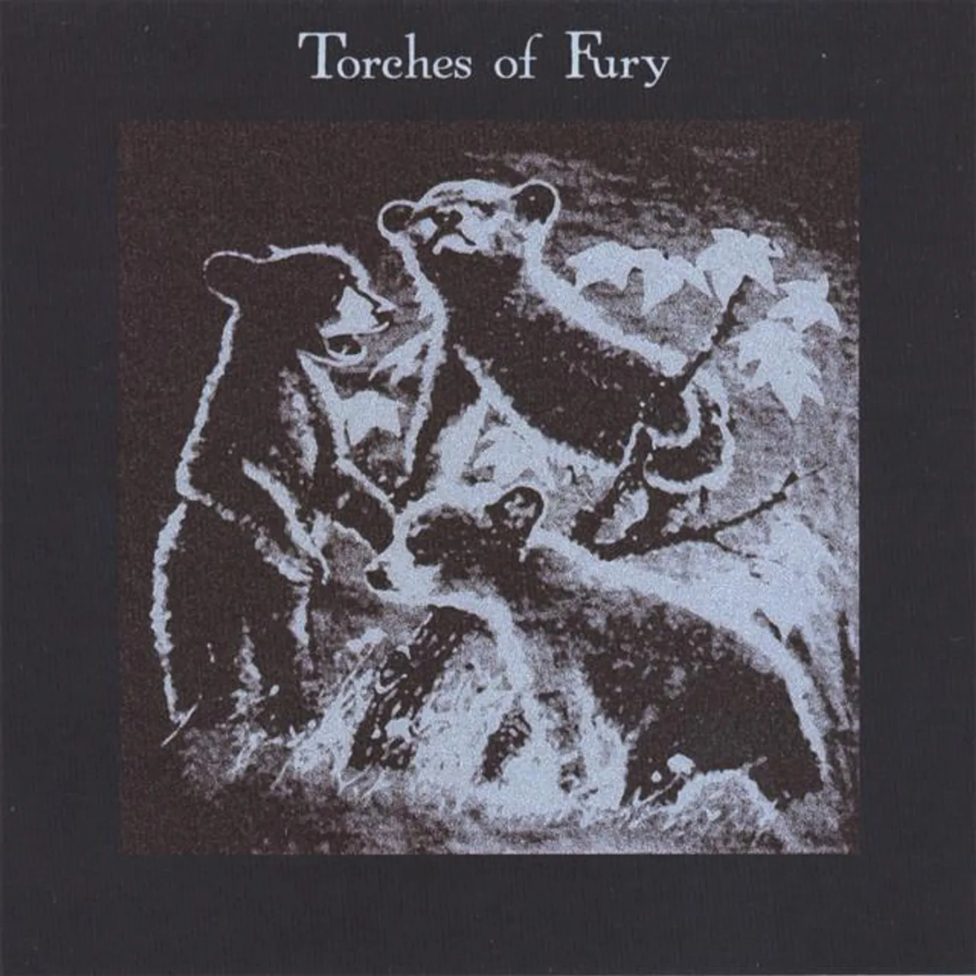 Torches Of Fury Brand Page