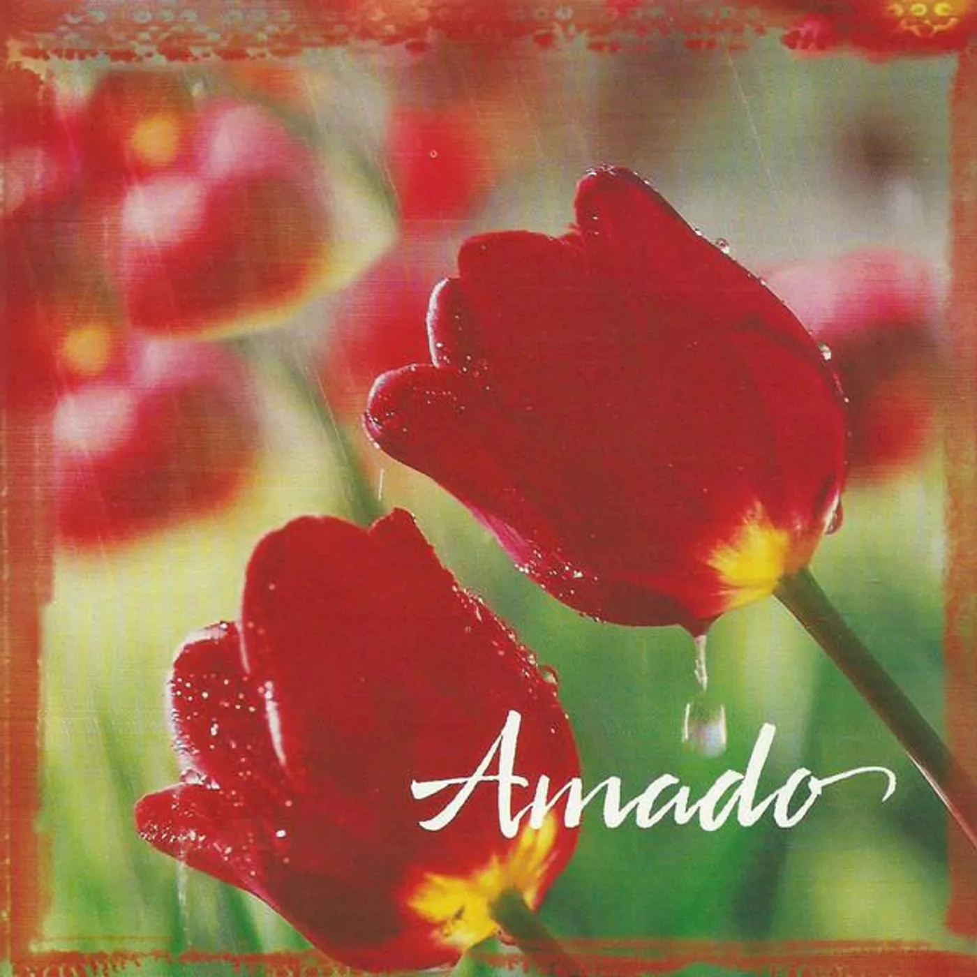 Tosca Tango Orchestra