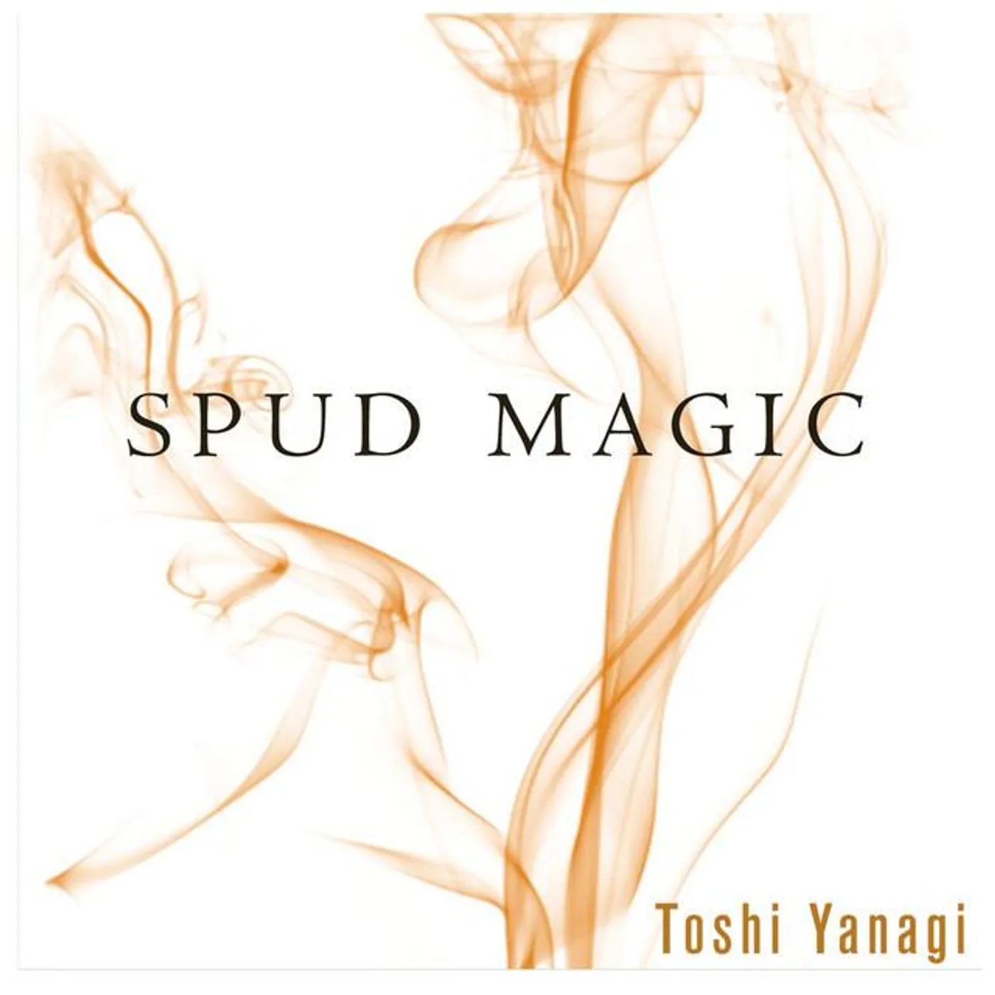 Toshi Yanagi