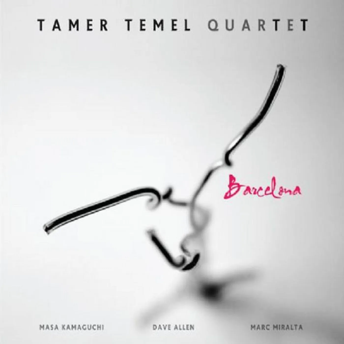 Tamer Temel Quartet Brand Page