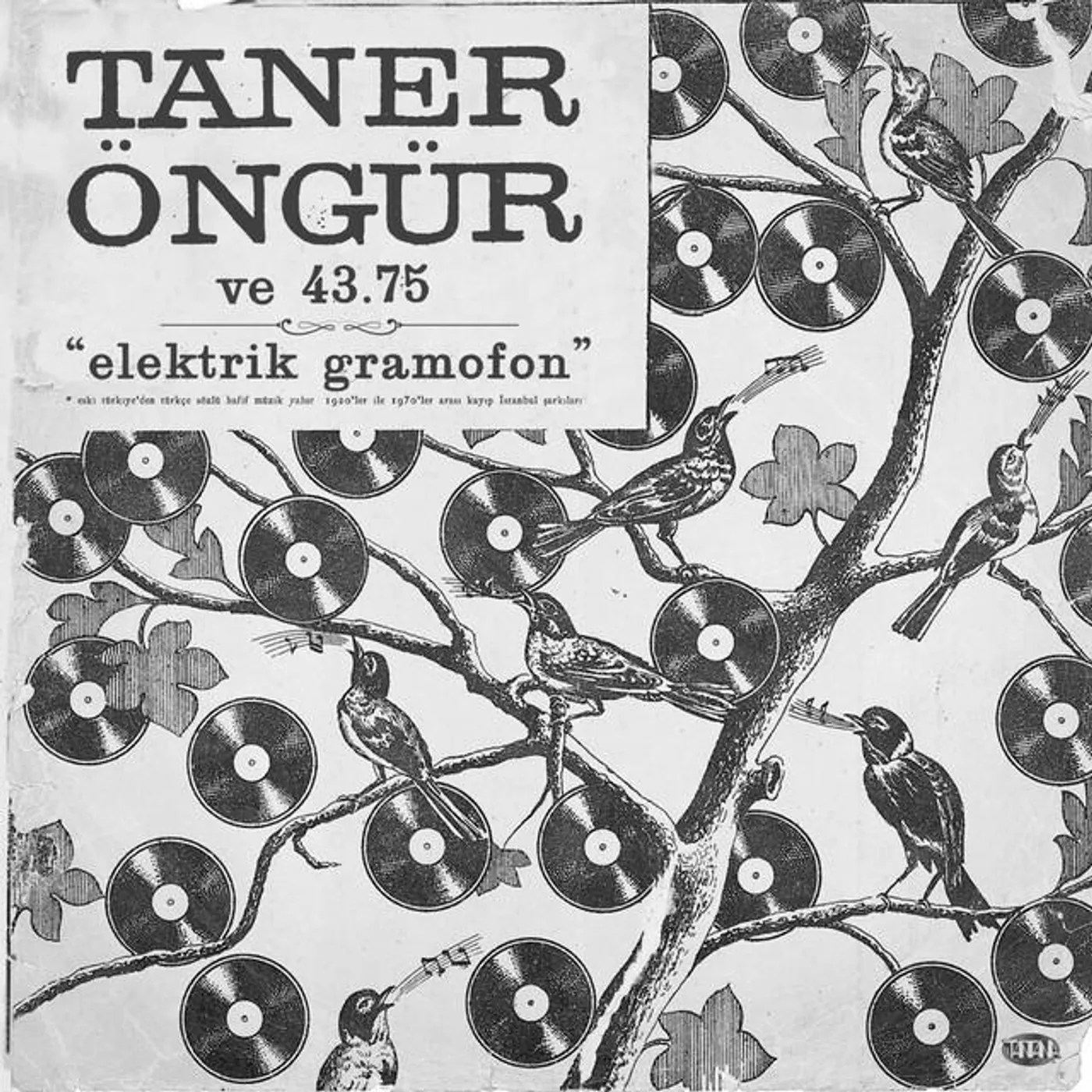 Taner Öngür Brand Page