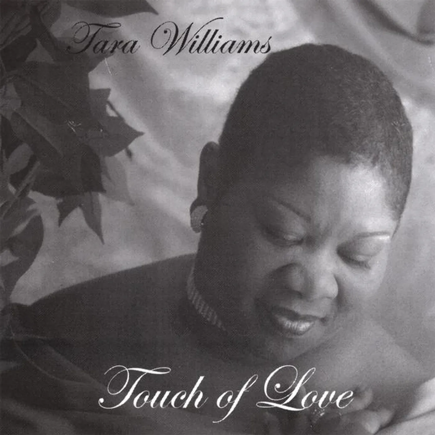 Tara Williams Brand Page
