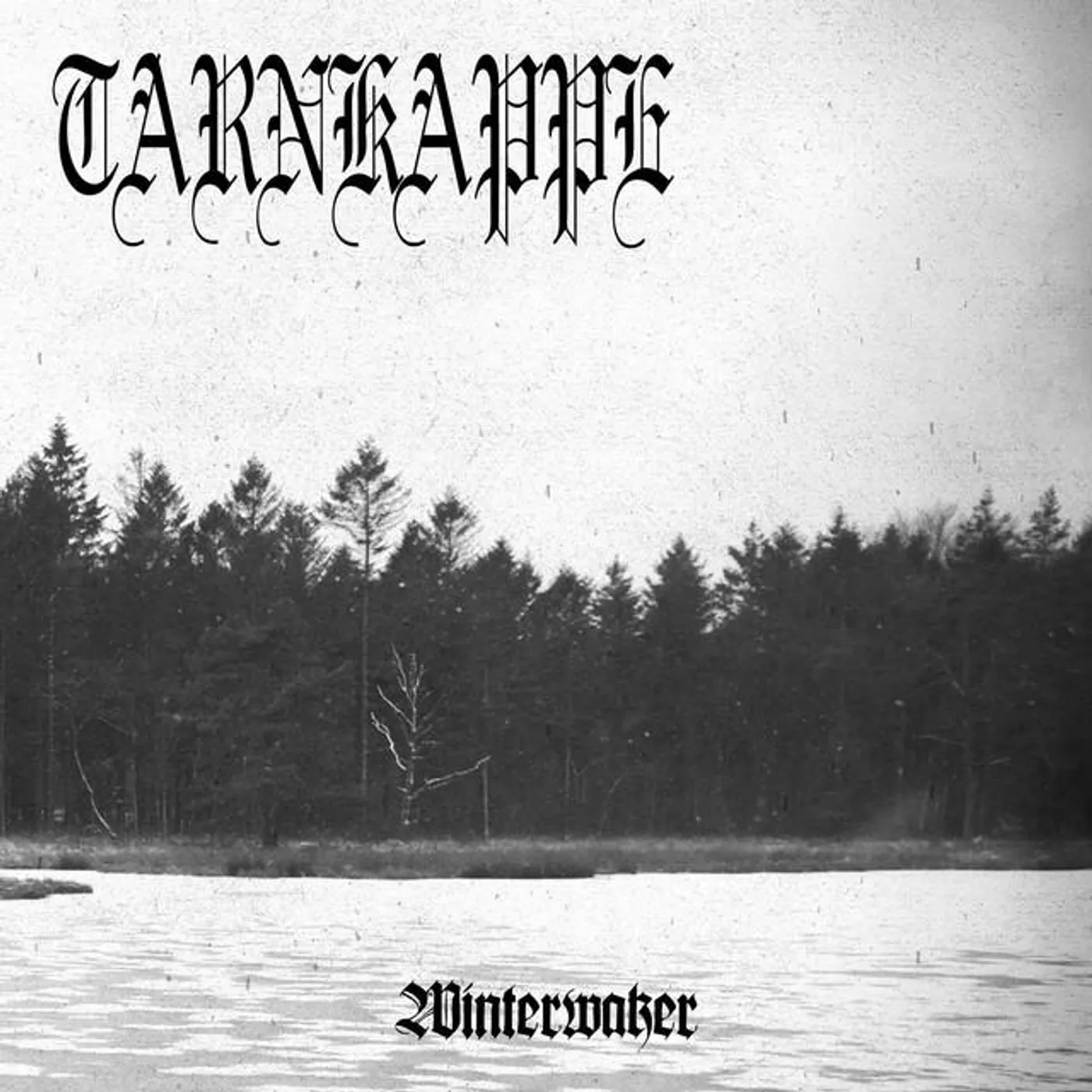 Tarnkappe