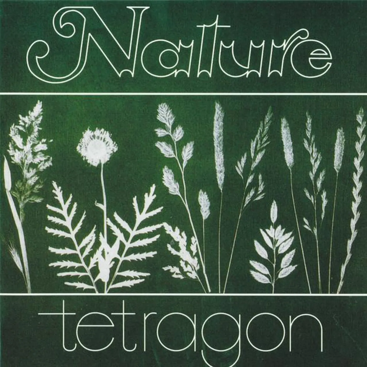 Tetragon Brand Page