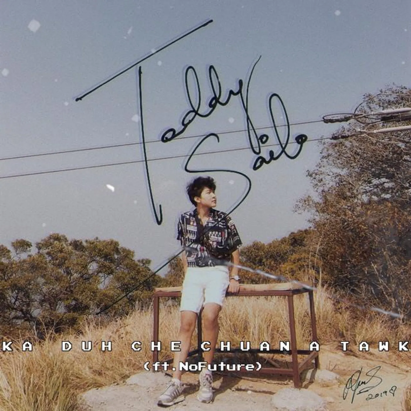 Teddy Sailo