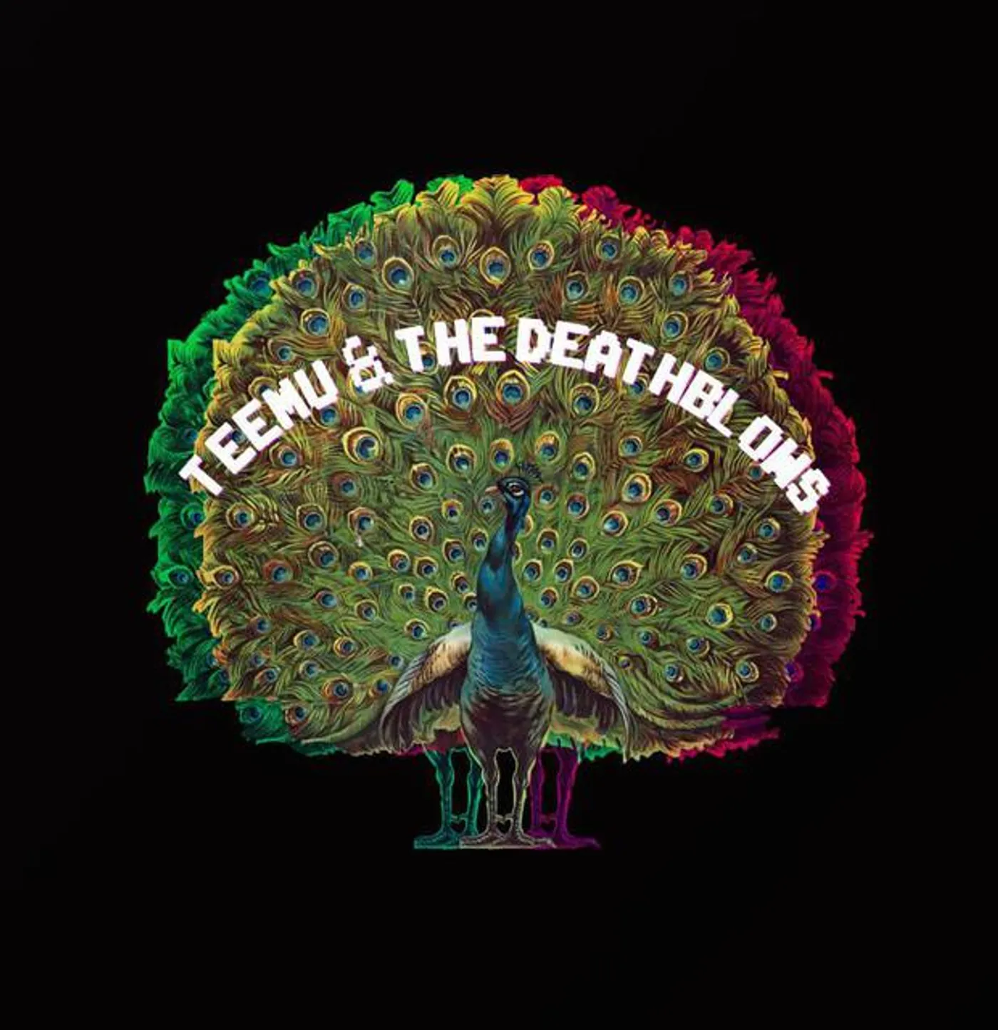 Teemu & The Deathblows