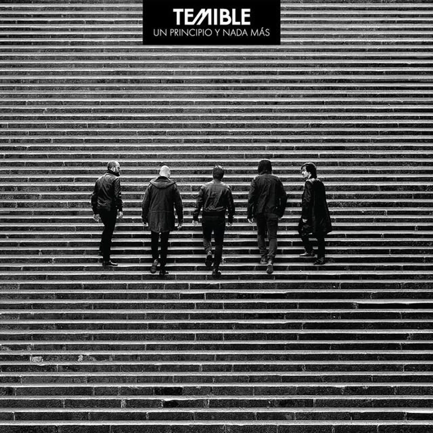 Temible Brand Page