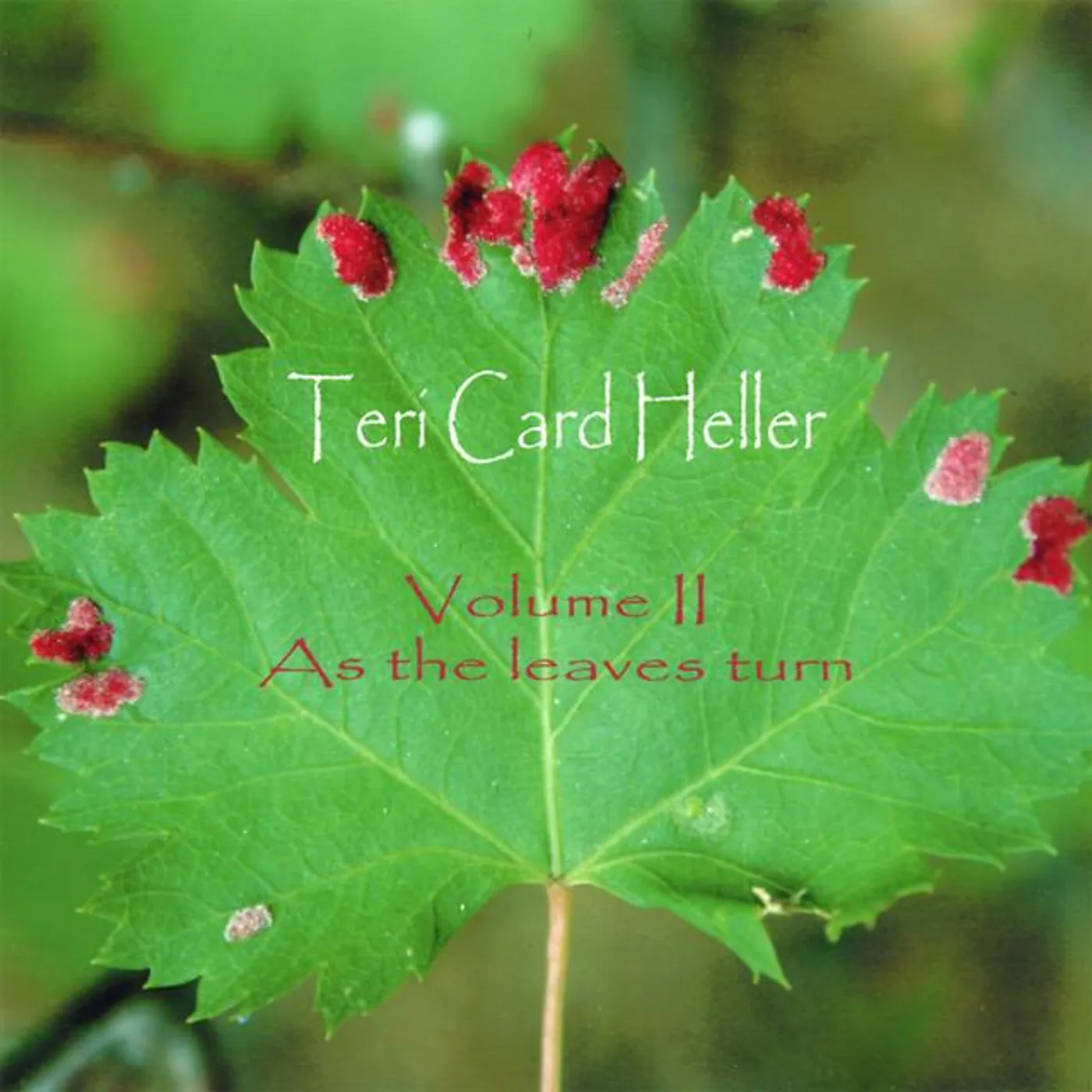 Teri Card Heller Brand Page